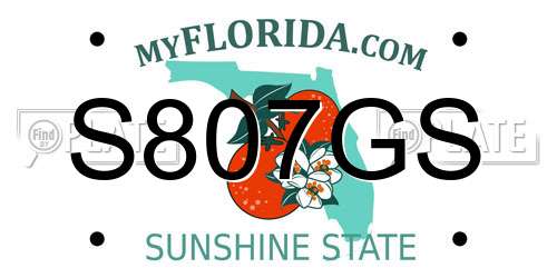 S807GS Florida License Plate