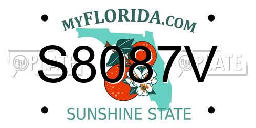 S8087V Florida License Plate