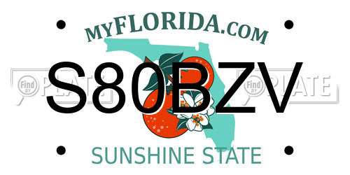 S80BZV Florida License Plate