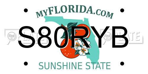 S80RYB Florida License Plate