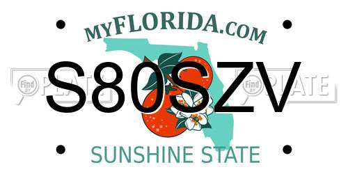 S80SZV Florida License Plate