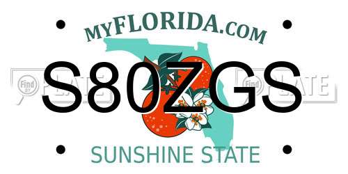 S80ZGS Florida License Plate
