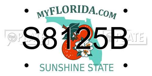 S8125B Florida License Plate
