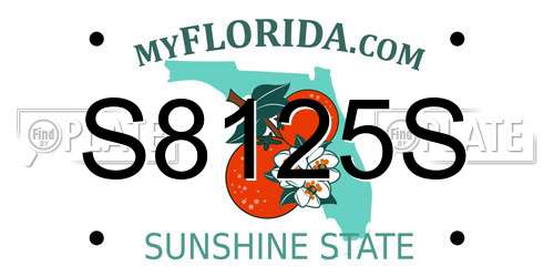 S8125S Florida License Plate