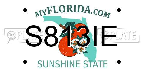 S813IE Florida License Plate