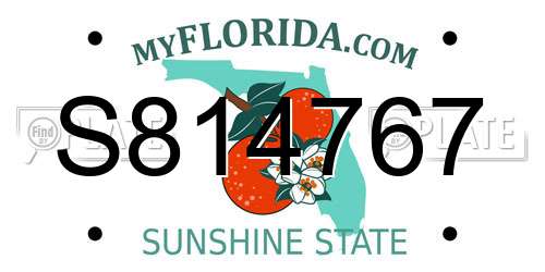 S814767 Florida License Plate