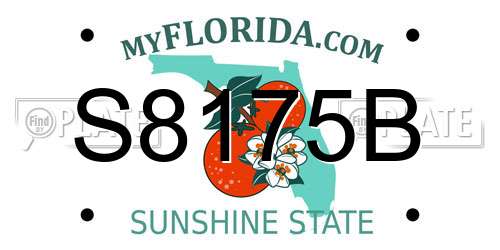 S8175B Florida License Plate