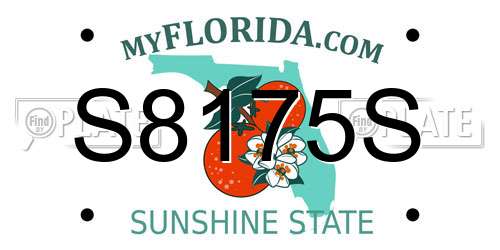 S8175S Florida License Plate