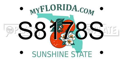 S8178S Florida License Plate