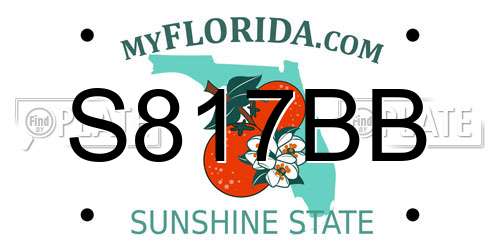 S817BB Florida License Plate