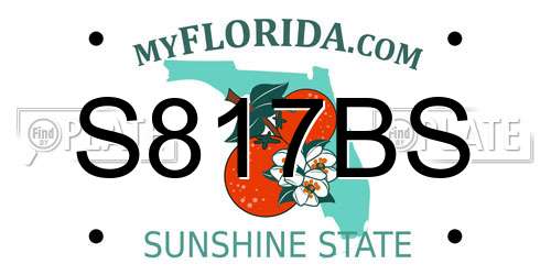 S817BS Florida License Plate