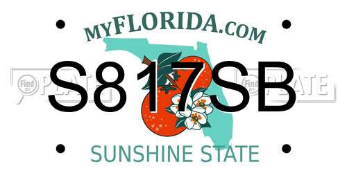 S817SB Florida License Plate