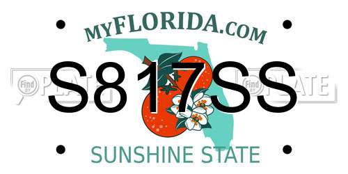 S817SS Florida License Plate
