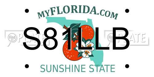 S81LLB Florida License Plate