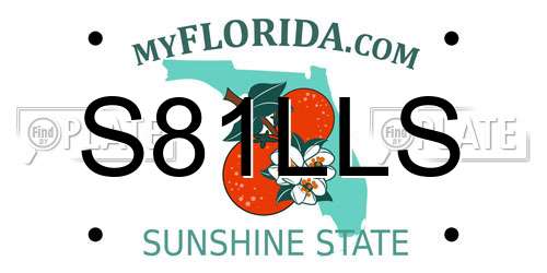 S81LLS Florida License Plate