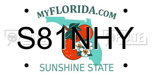 S81NHY Florida License Plate