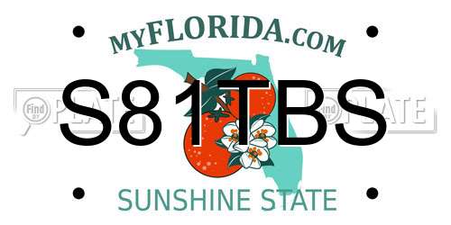 S81TBS Florida License Plate