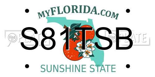 S81TSB Florida License Plate