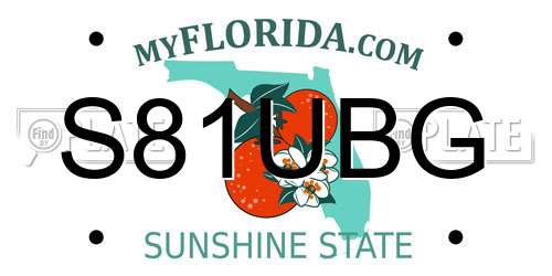 S81UBG Florida License Plate