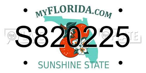 S820225 Florida License Plate