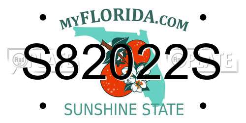 S82022S Florida License Plate