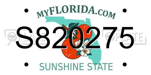 S820275 Florida License Plate