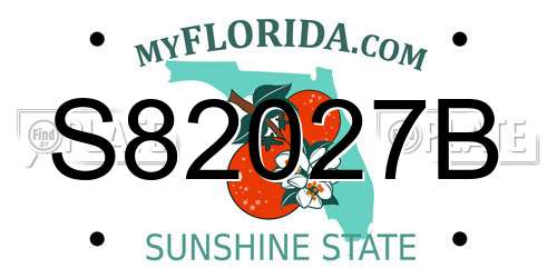 S82027B Florida License Plate