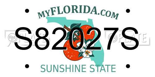 S82027S Florida License Plate