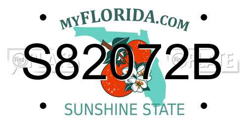 S82072B Florida License Plate