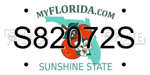 S82072S Florida License Plate
