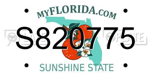 S820775 Florida License Plate
