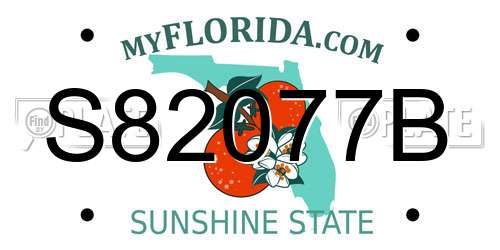 S82077B Florida License Plate