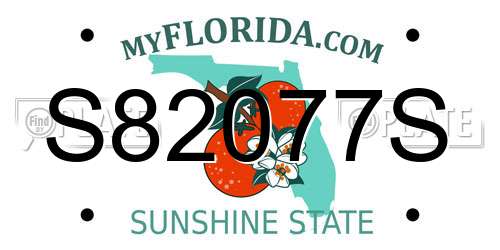 S82077S Florida License Plate