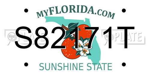 S82171T Florida License Plate