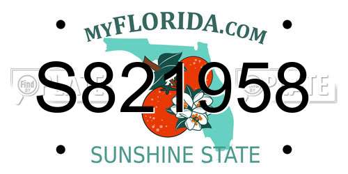 S821958 Florida License Plate