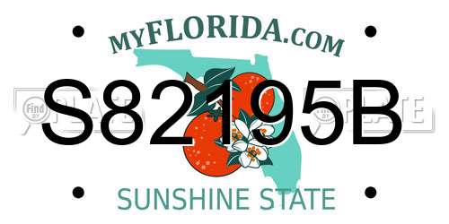 S82195B Florida License Plate