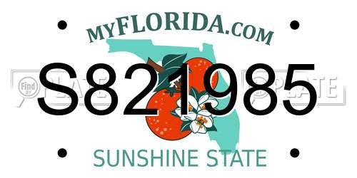 S821985 Florida License Plate