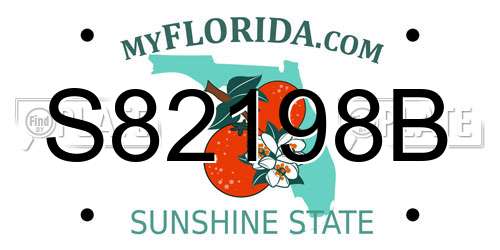 S82198B Florida License Plate