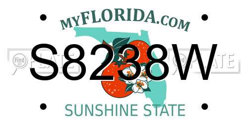 S8238W Florida License Plate