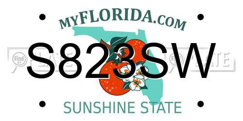 S823SW Florida License Plate