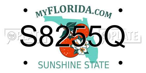S8255Q Florida License Plate