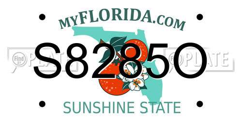 S8285O Florida License Plate