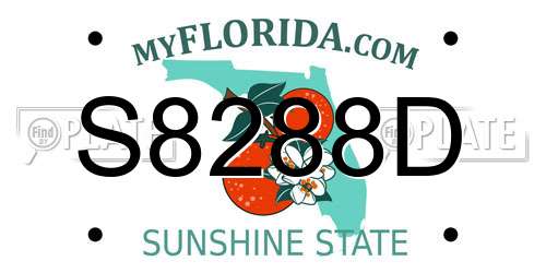 S8288D Florida License Plate