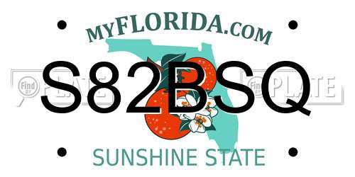 S82BSQ Florida License Plate