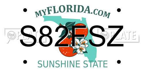 S82FSZ Florida License Plate