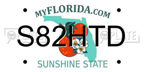 S82HTD Florida License Plate