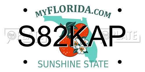 S82KAP Florida License Plate