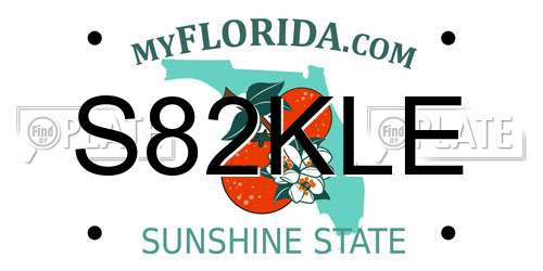 S82KLE Florida License Plate