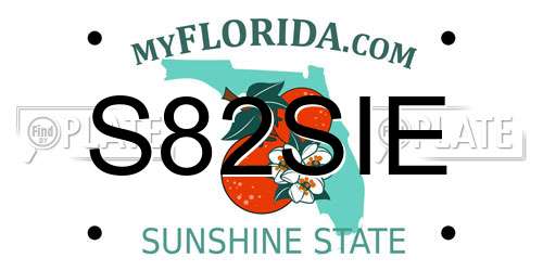 S82SIE Florida License Plate