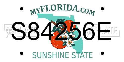 S84256E Florida License Plate